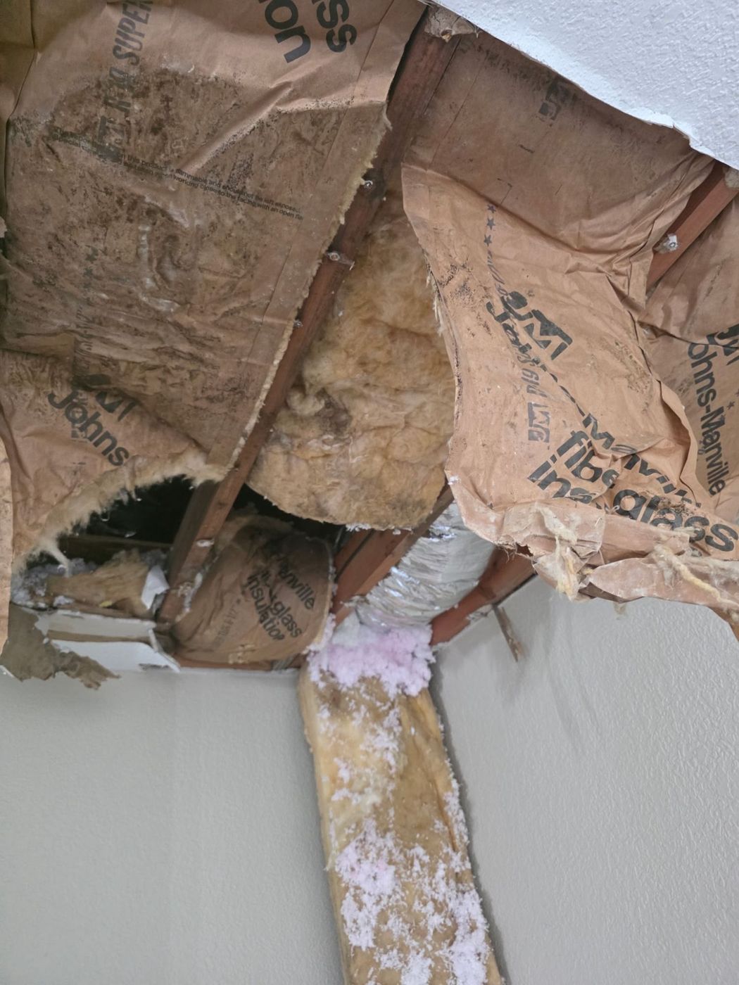 Wet insulation inside the damaged ceiling